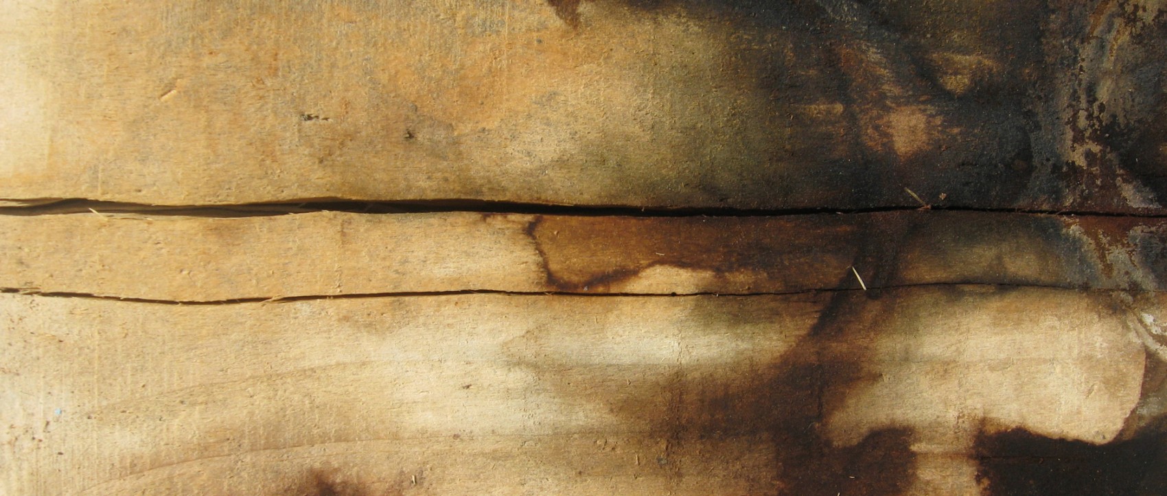 Are human beings good or bad? | Articles | NewSpring Church